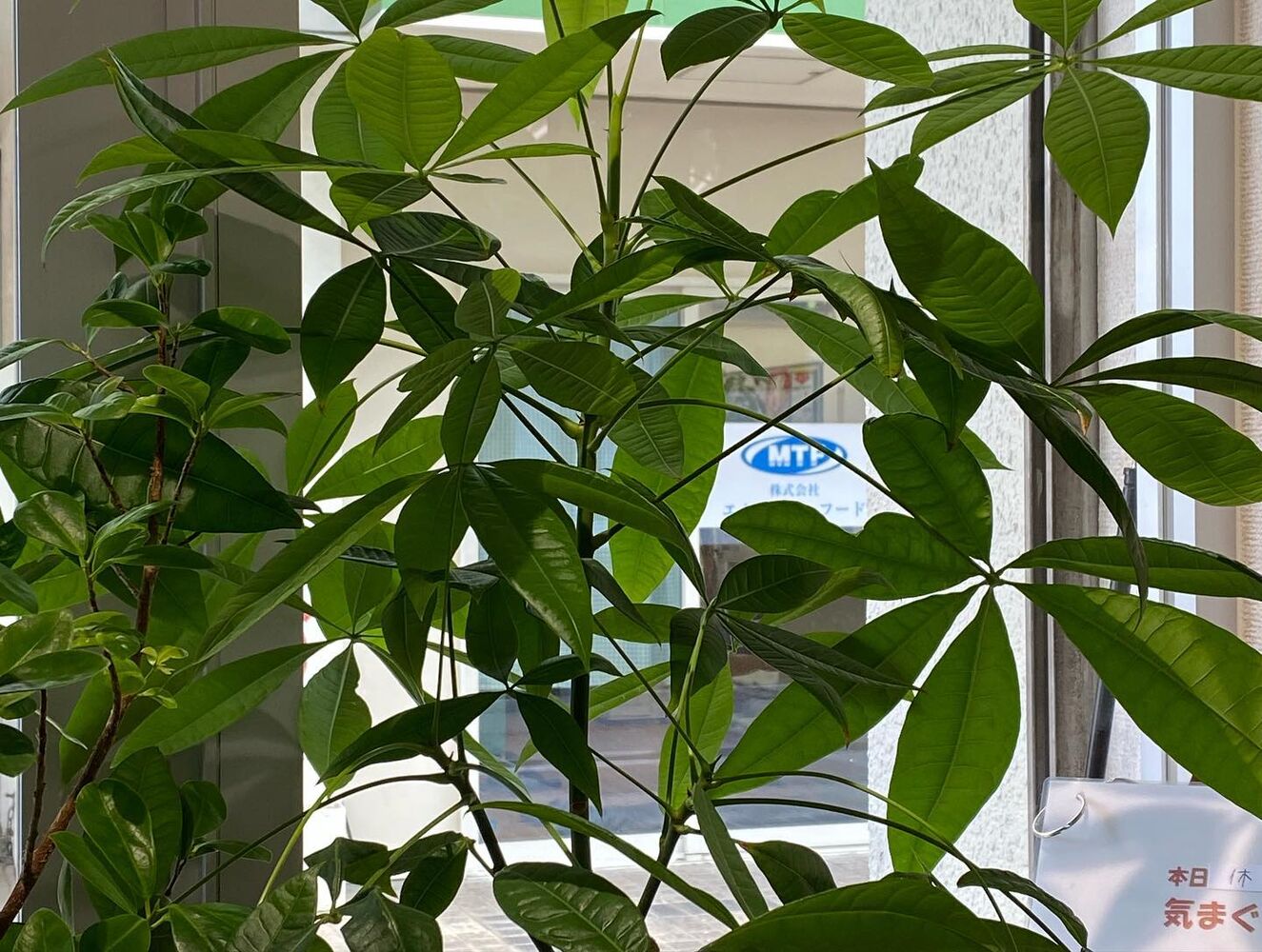 ブログ