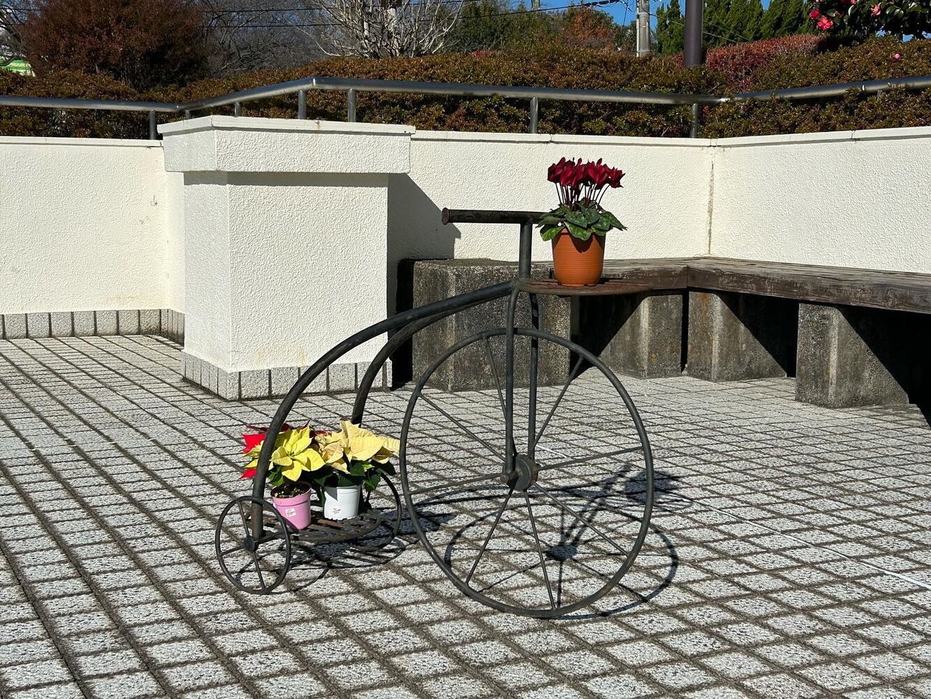 ブログ