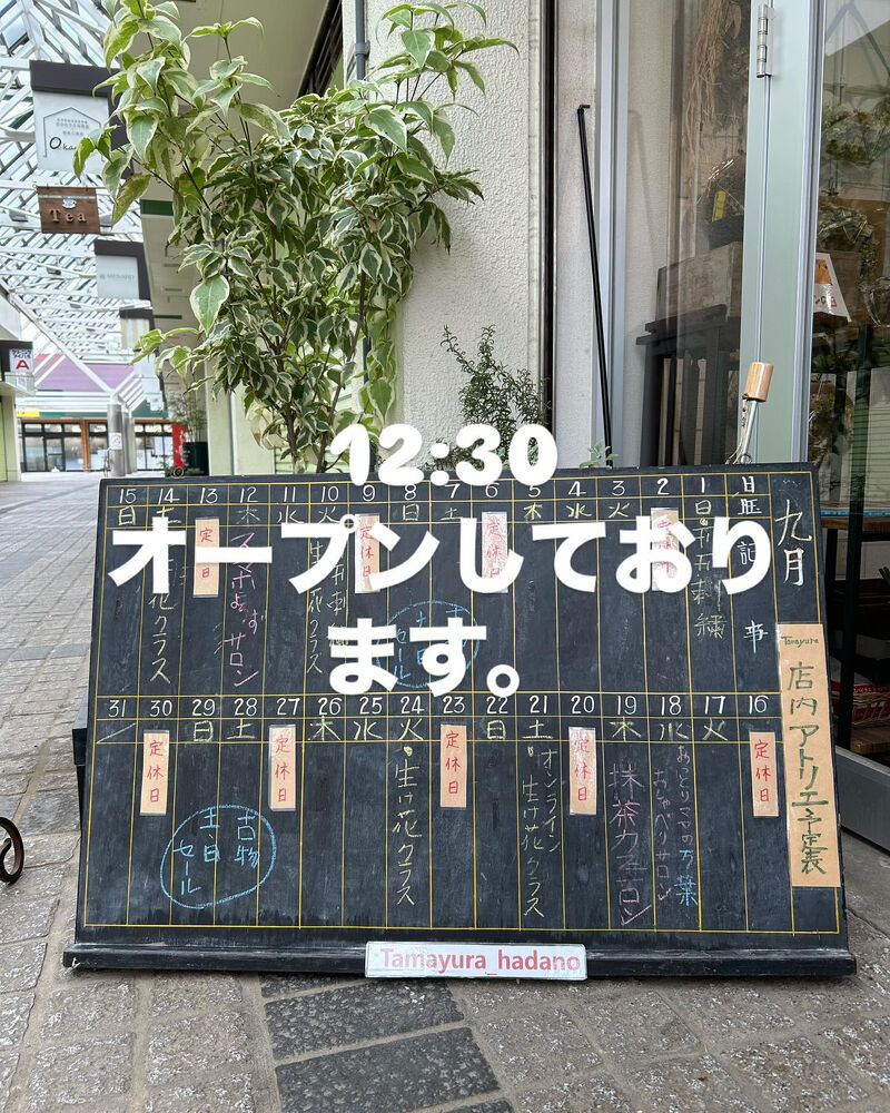 ブログ