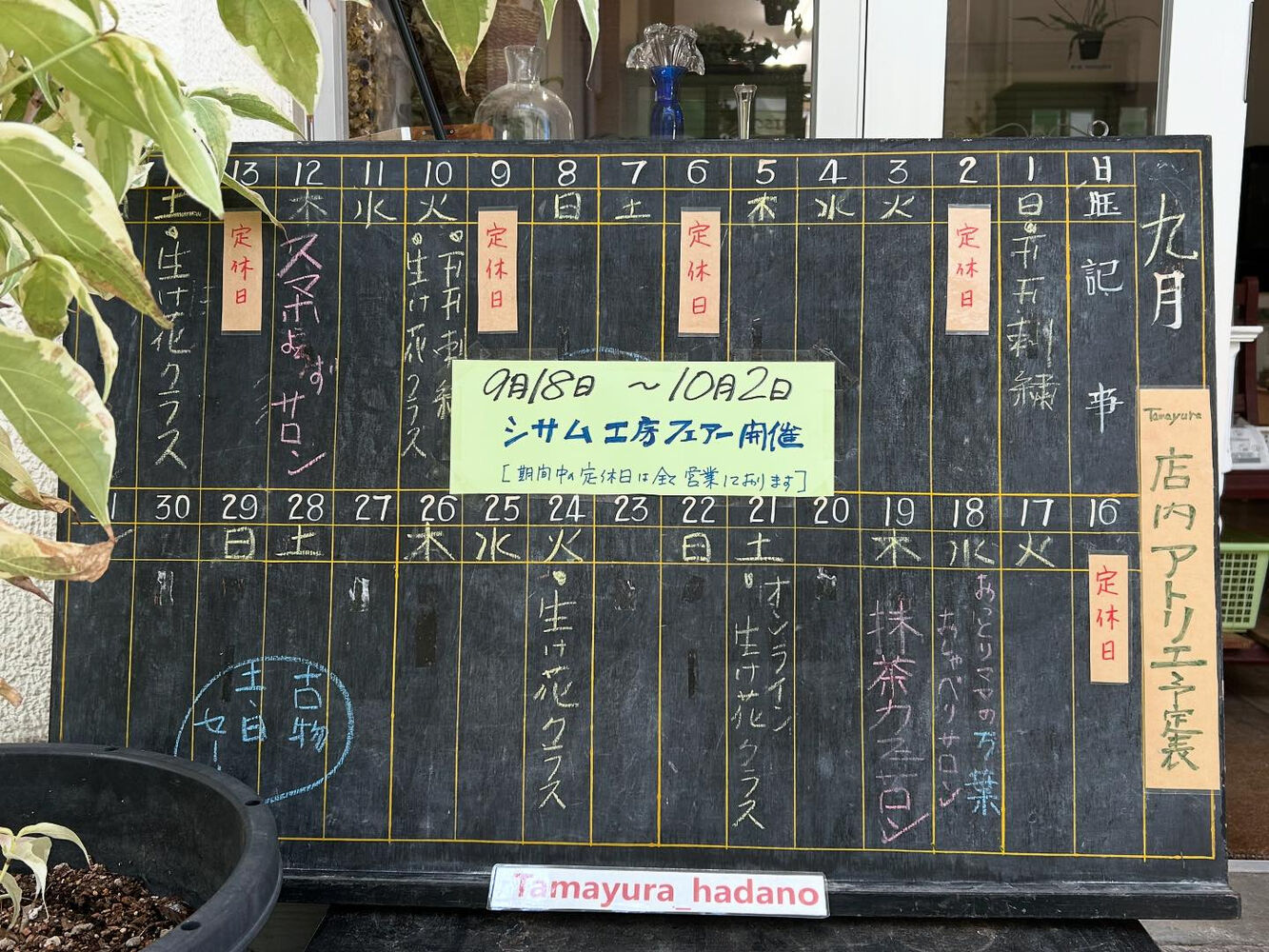 ブログ