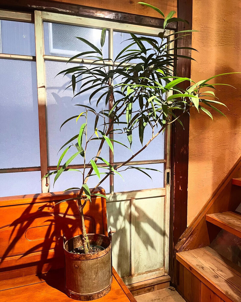ブログ