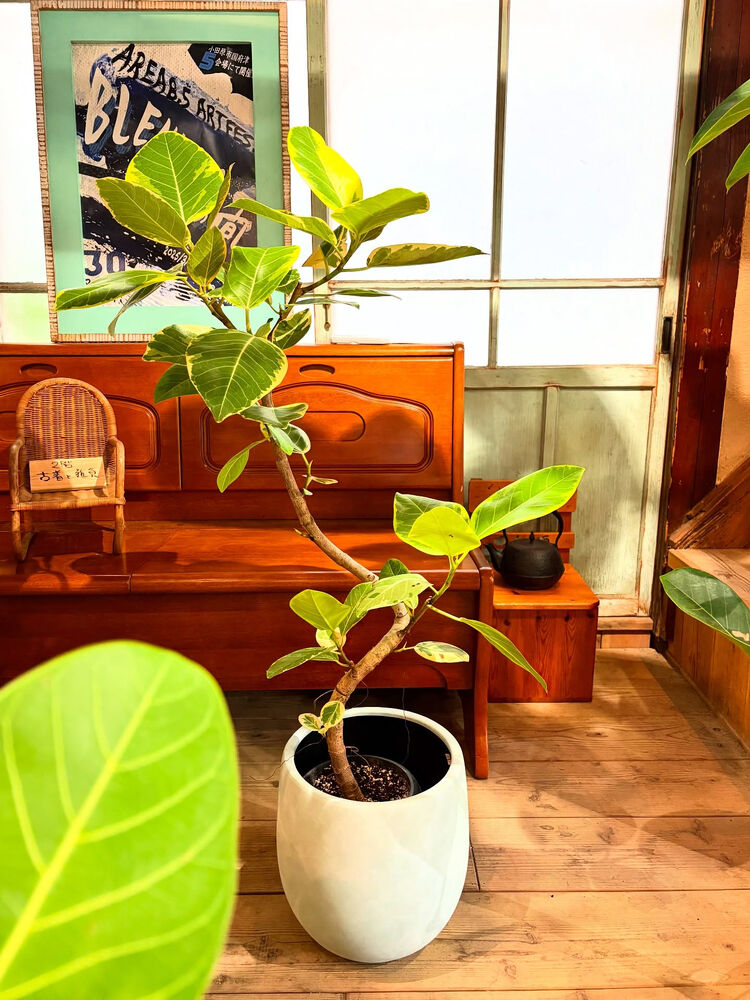 ブログ