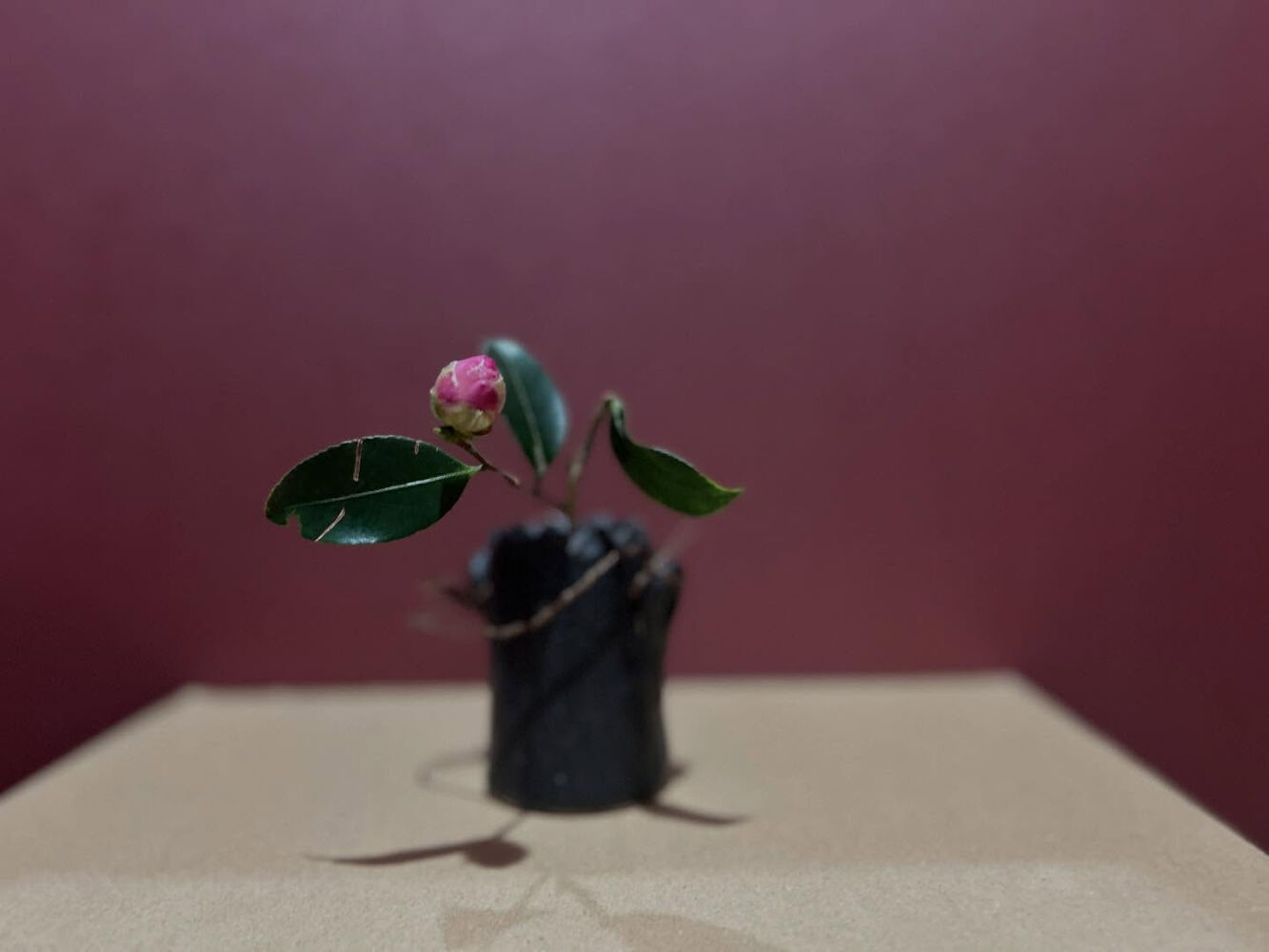 ブログ